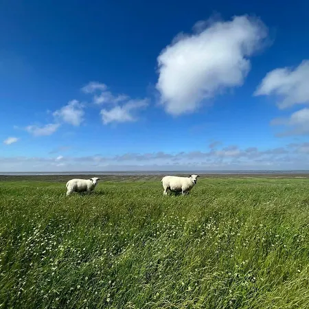 Blaue Nordseewelle בית הארחה 4*