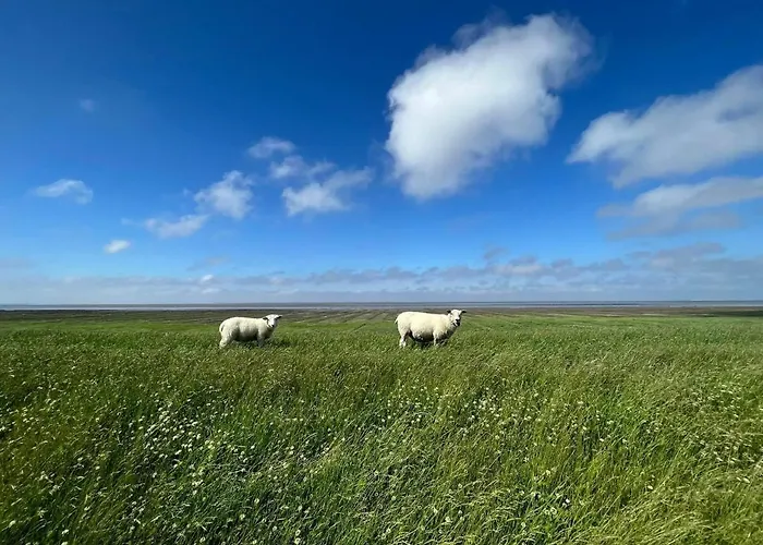 Blaue Nordseewelle Penzion 4*